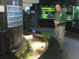 Elefant, Tiger & Co.