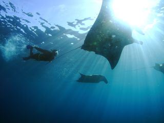 Built to Survive - Überleben ist alles