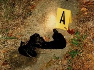 The Real Murders of Atlanta The Real Murders of Atlanta