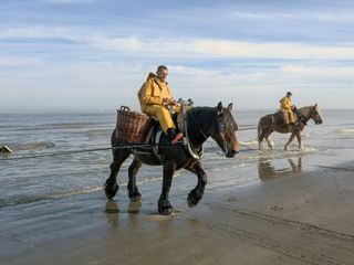 Leben an der Nordsee