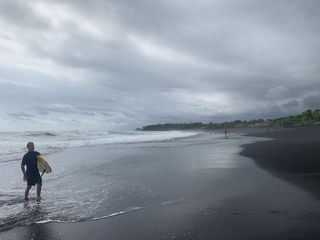 Haie auf Angriff - Den Jaegern auf der Spur