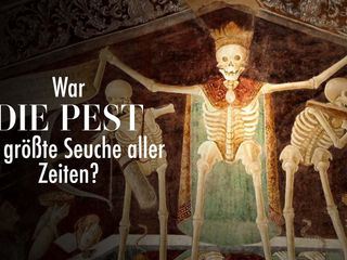 Stimmt es, dass ...?