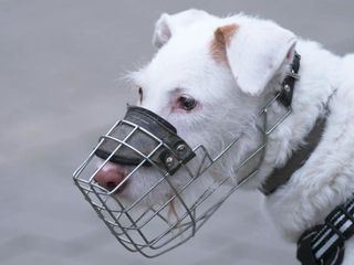 Die Unvermittelbaren - Mit Martin Ruetter Die Unvermittelbaren - Mit Martin Ruetter