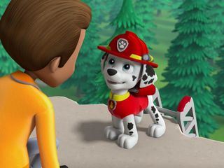 PAW Patrol - Helfer auf vier Pfoten