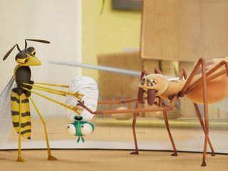 Bienvenue chez les mouches