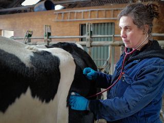 Die Nordreportage: Wenn Kuehe Hilfe brauchen