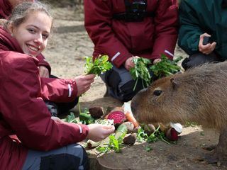 Elefant, Tiger & Kids: Zoo-Praktikum Backstage