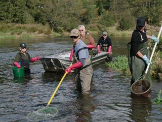 Bayerisch Kanada - Der Schwarze Regen