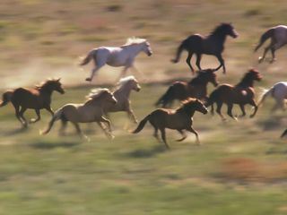 South Dakota von oben