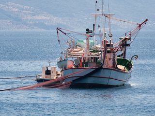 Nachhaltige Fischerei