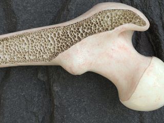 GESUNDHEITHEUTE - Die Gesundheitssendung mit Dr. Jeanne Fuerst