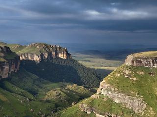 Terre, les forces du vivant