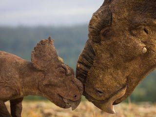 Unter Dinos - Geheimnisse der Urzeit