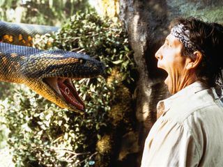 Anaconda