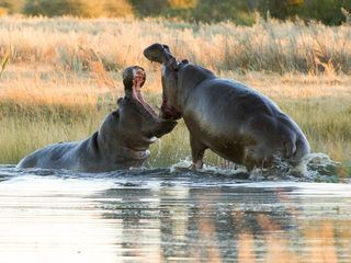 Zauber der Jahreszeiten