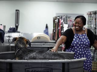 Zoophobia - Wenn Tiere Angst machen