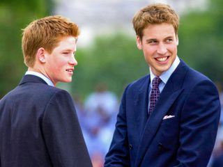 Harry vs. William - Der royale Bruderzwist
