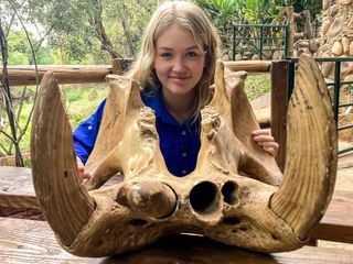 Nina und die wilden Tiere