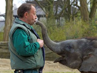 Wie geht das? Einen Zoo organisieren - Hagenbecks Tierpark