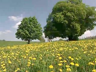 Von Hexenhuegeln und heiligen Quellen - Kraftplaetze im Burgenland