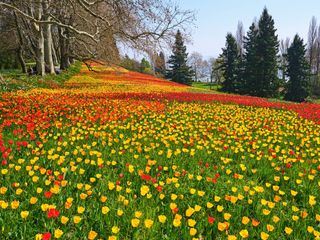 Heimat entdecken: Blueten, Gaerten und Geniessen