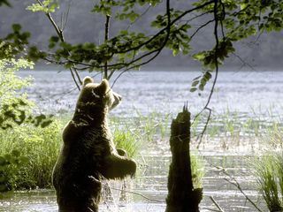 Plitvice - Land der fallenden Seen