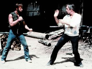 McQuade, der Wolf