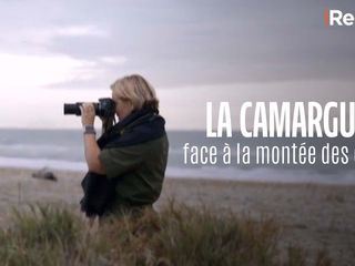 Re: Geht die Camargue unter?