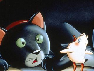 La gabbianella e il gatto