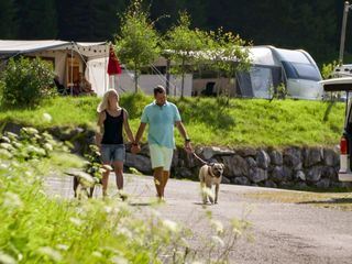 Verrueckt nach Camping