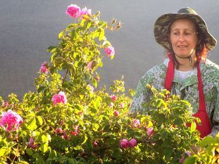 Im Tal der Rosen