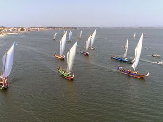 Portugal: Die Regetta der Moliceiros