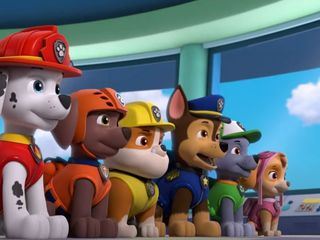 Paw Patrol: Helfer auf vier Pfoten Paw Patrol: Helfer auf vier Pfoten