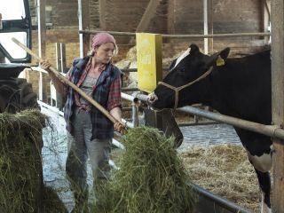 Gloria, die schoenste Kuh meiner Schwester