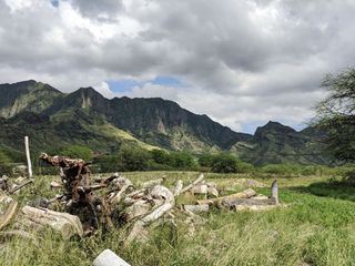Das Herz von Hawaii - die Insel Oahu