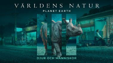 Vaerldens natur: Planet Earth III