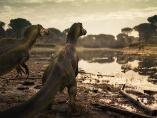 Unter Dinos - Geheimnisse der Urzeit