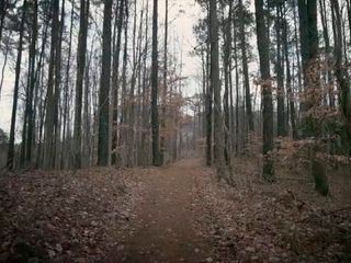 Forensik - Der Schluessel zur Wahrheit