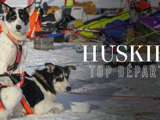 Huskies, am Start!