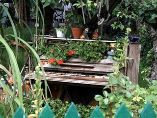 Von Hecke zu Hecke - Bunte Beetgeschichten