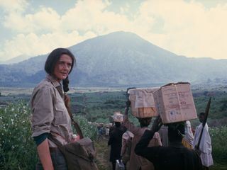 Dian Fossey: Geheimnisse im Nebel