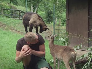 Giraffe, Erdmaennchen & Co.