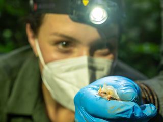 Faszination Erde - mit Hannah Emde Faszination Erde - mit Hannah Emde