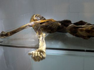 Ötzi - Verschollen im Eis