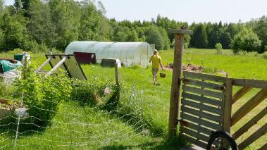 Daer ingen skulle tro att någon kunde bo: Sommarstunder