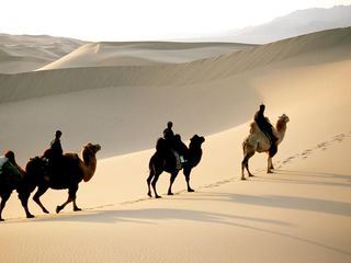 Die Magie der Mongolei