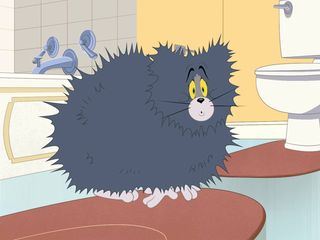 Die Tom und Jerry Show