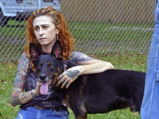 Pitbulls auf Bewaehrung