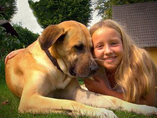 Liebste Fellnasen - Abenteuer Hundeschule