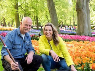 Romantisches Holland